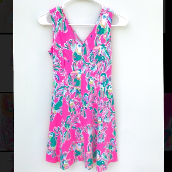 Dahlia Fit & Flare Dragonfruit Toucan Dress XXS - Picture 2 of 7